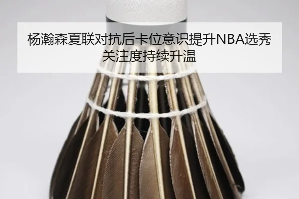 杨瀚森夏联对抗后卡位意识提升NBA选秀关注度持续升温