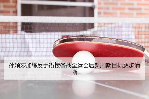 孙颖莎加练反手衔接备战全运会后新周期目标逐步清晰